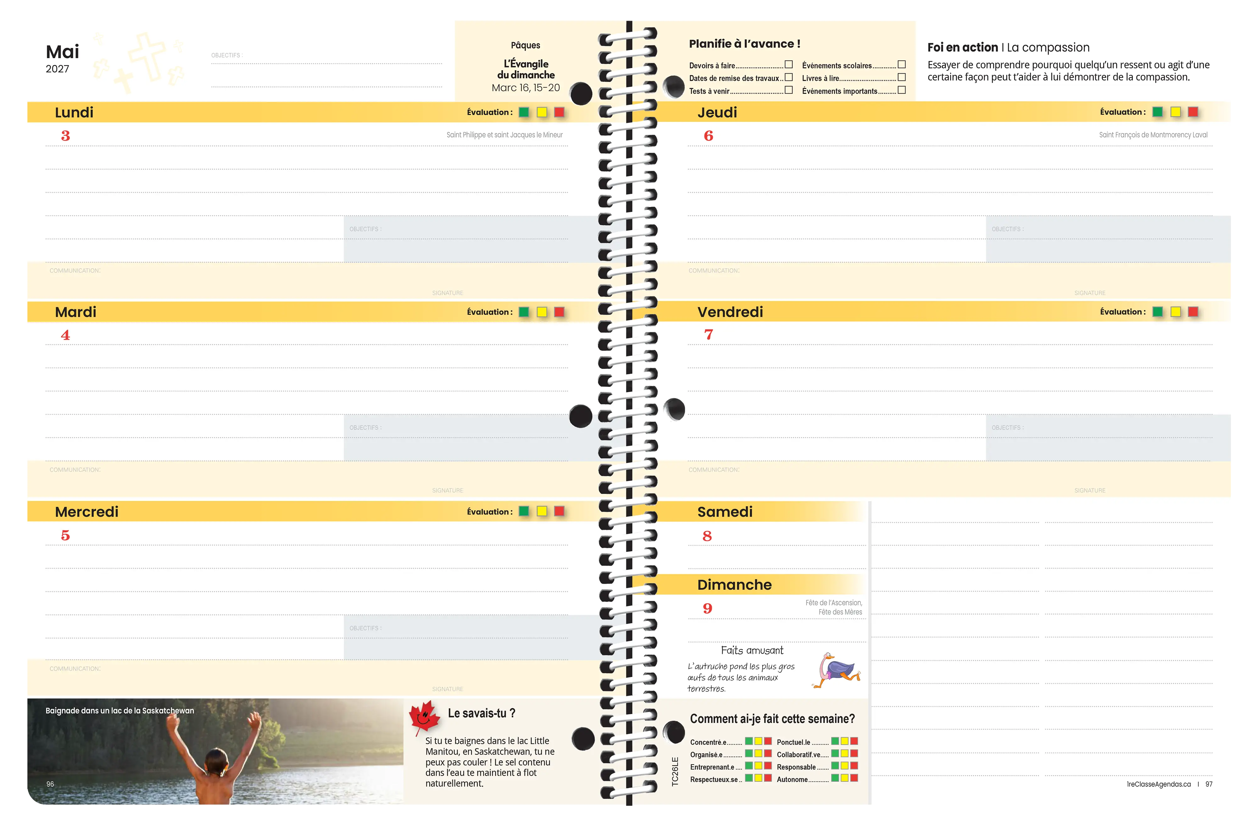 Série foi et valeurs – Primaire 3-6